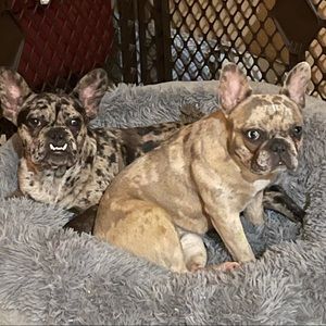 Meet your Posher, Deborah